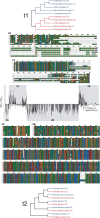 <sc>Fig</sc>. 9.
