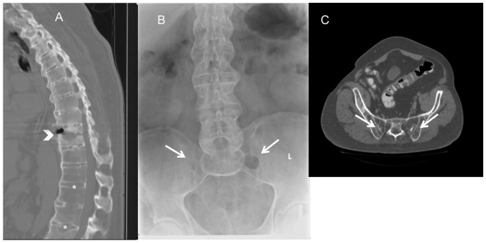 Figure 1.