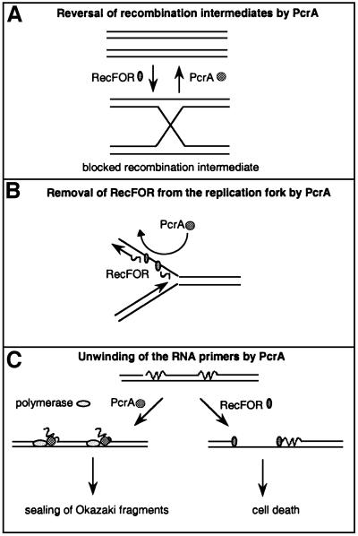 graphic file with name cdf317f6.jpg