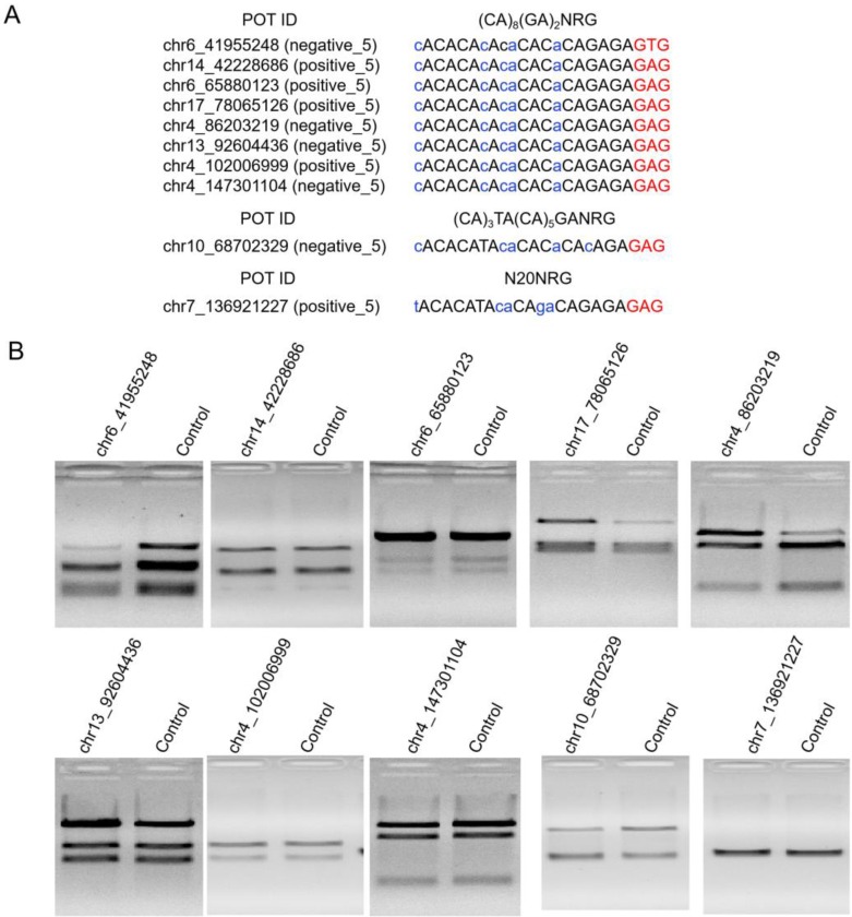 Figure 6