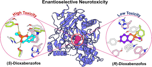 graphic file with name ao5c06614_0010.jpg