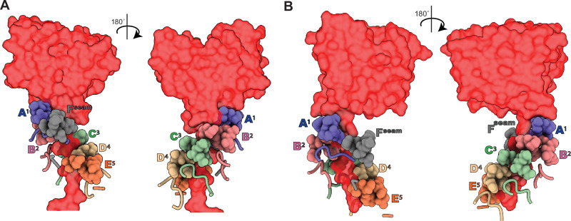 Fig. 3