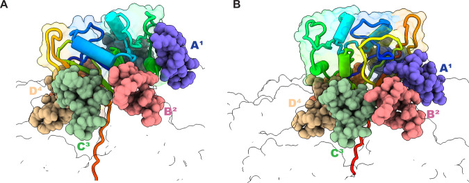 Fig. 2