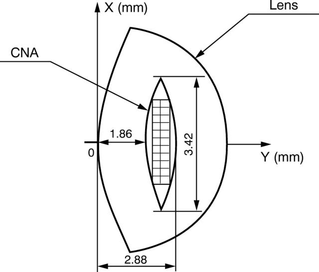 Figure 1  