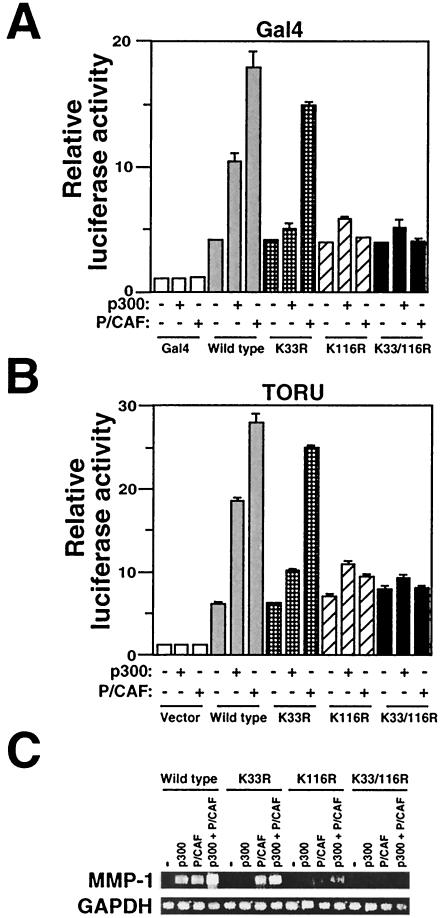 FIG. 8.