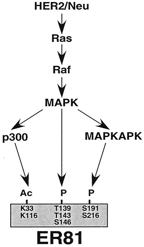 FIG. 11.