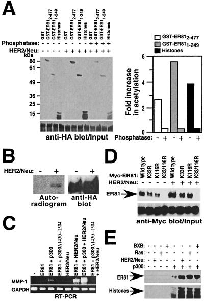 FIG. 10.