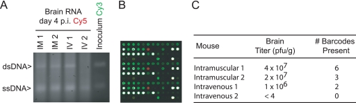 Fig. 8.