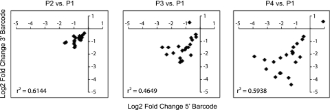 Fig. 10.