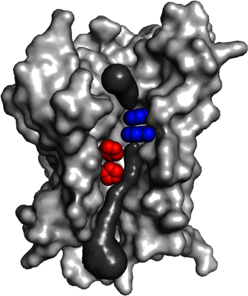 FIGURE 1.