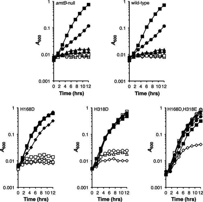 FIGURE 4.