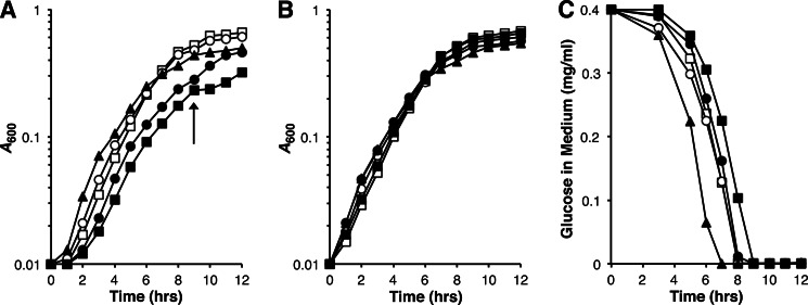 FIGURE 2.