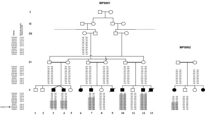 Figure  3. 