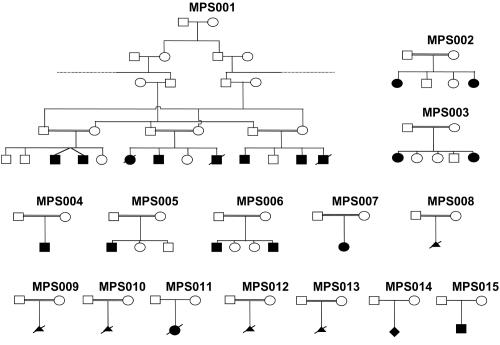 Figure  1. 