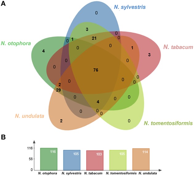 Figure 5