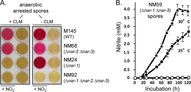 FIG 5