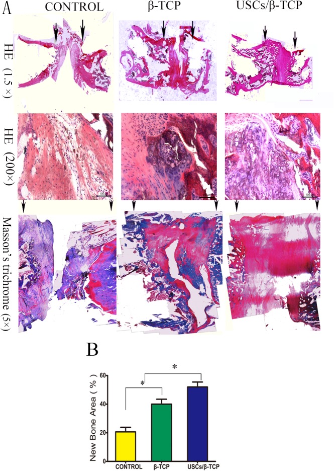 Fig 7