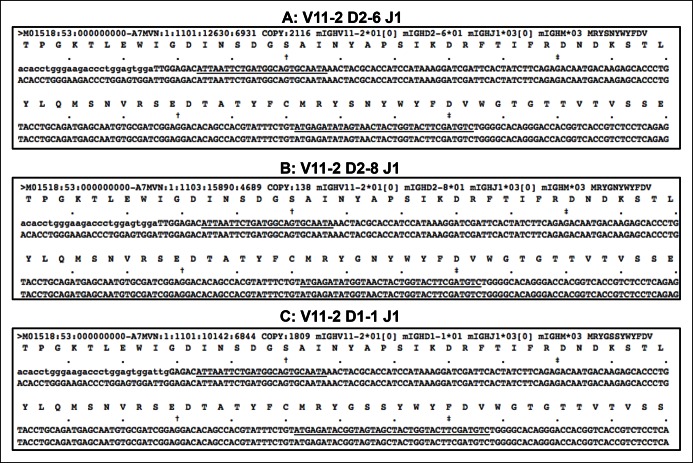 Figure 1—figure supplement 2.
