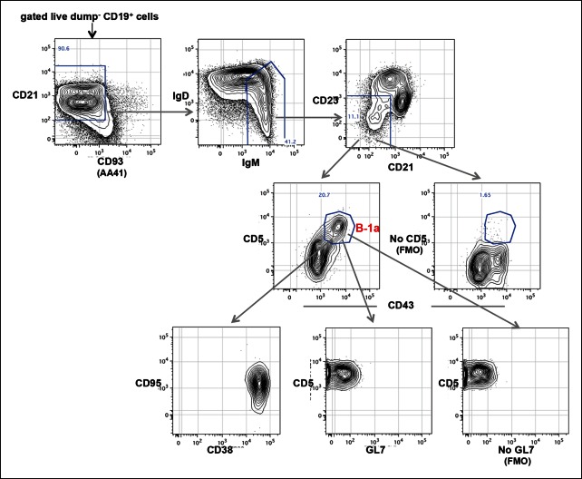 Figure 7—figure supplement 1.
