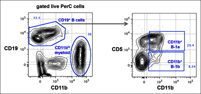 Figure 1—figure supplement 3.