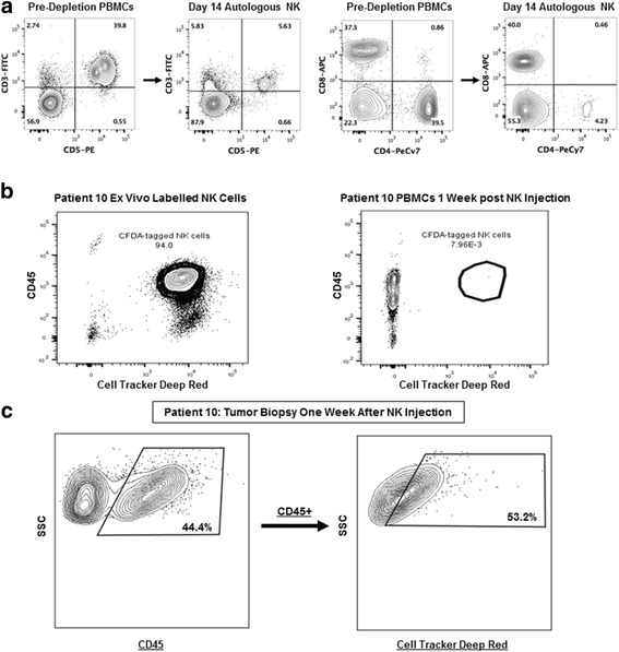 Fig. 6