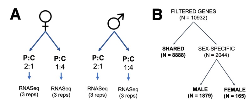 Figure 1—figure supplement 1.