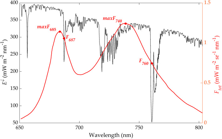 Fig. 13