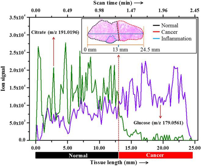 Figure 11: