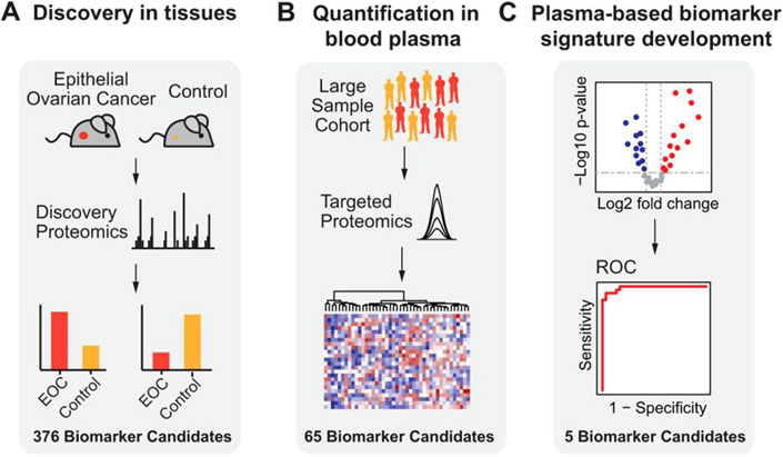 Figure 9: