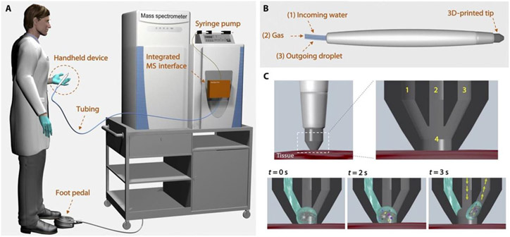 Figure 12: