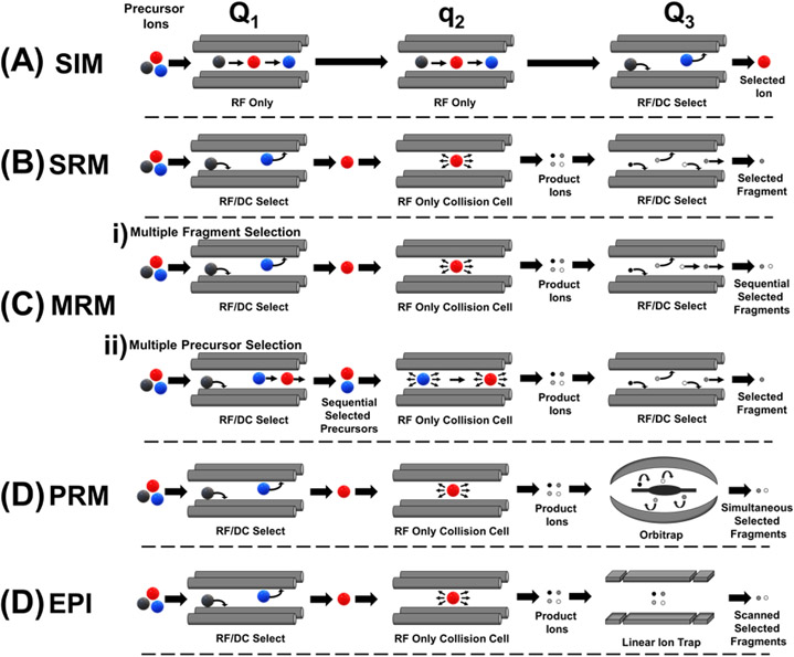 Figure 2: