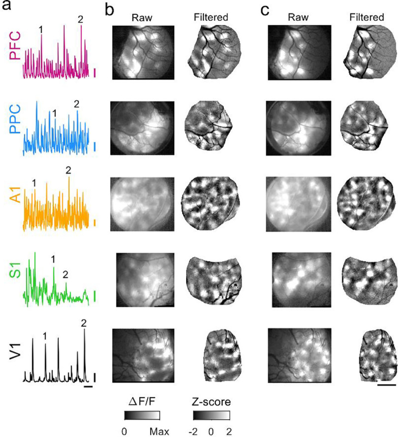 Figure 2: