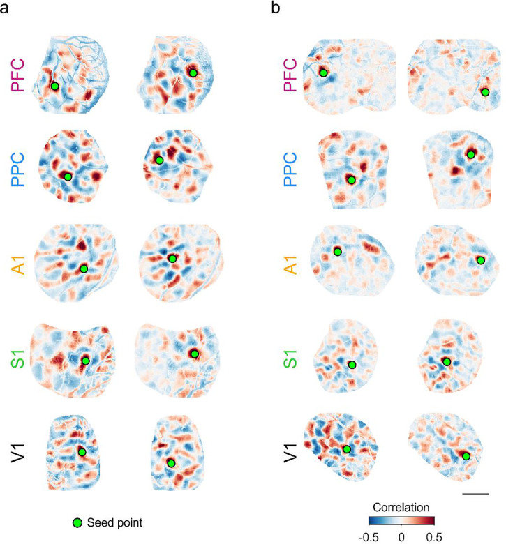 Figure 5: