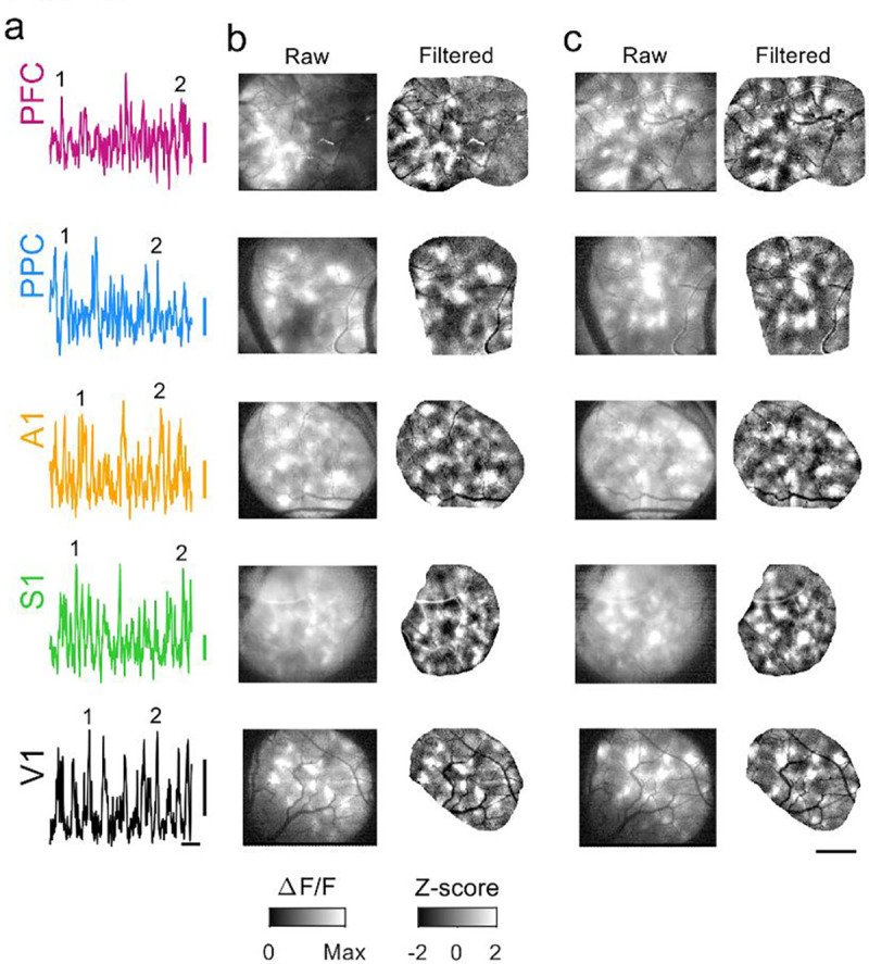 Figure 3: