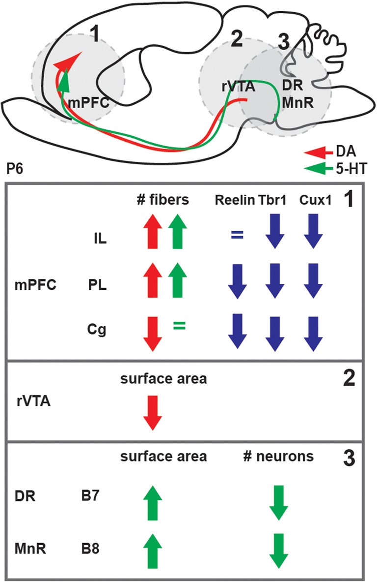 Fig. 8