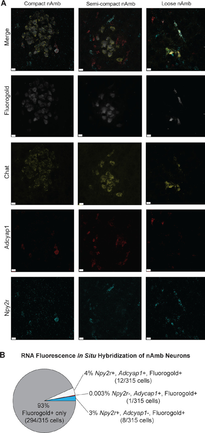 Figure 3:
