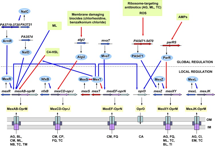 Fig 2