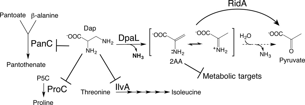 Fig. 8