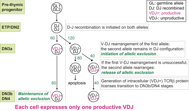 FIG 1