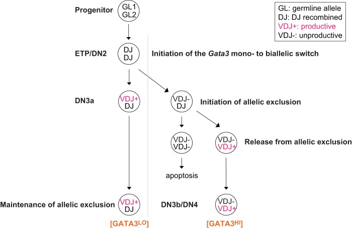 FIG 10