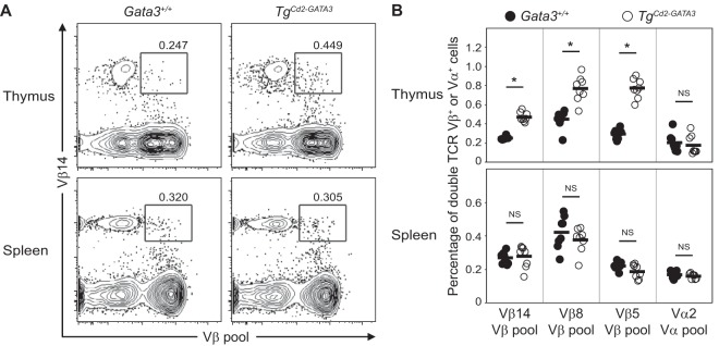 FIG 6