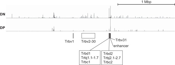 FIG 11