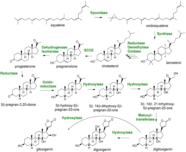 Figure 12