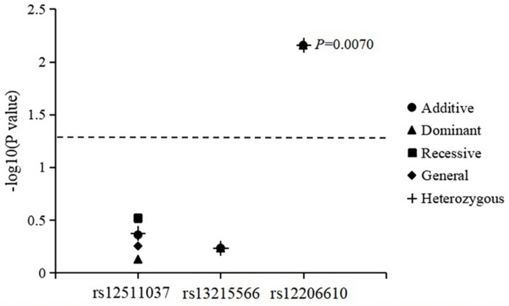 FIGURE 3