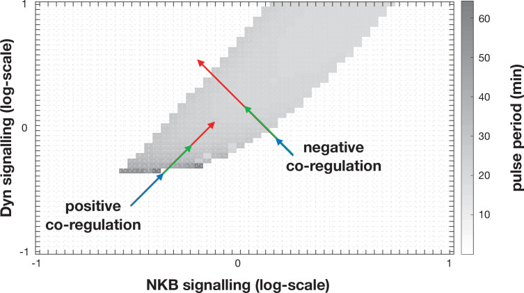 Figure 6—figure supplement 1.