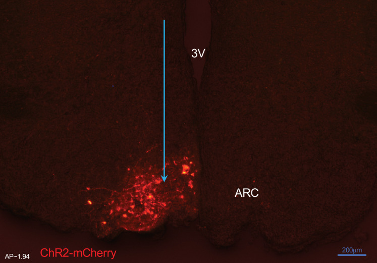 Figure 1.