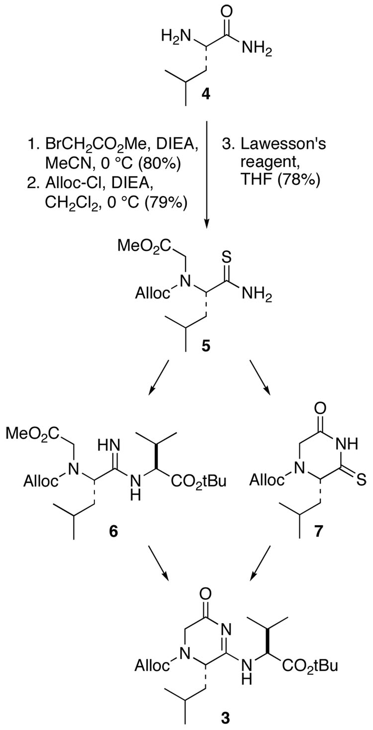 SCHEME 1