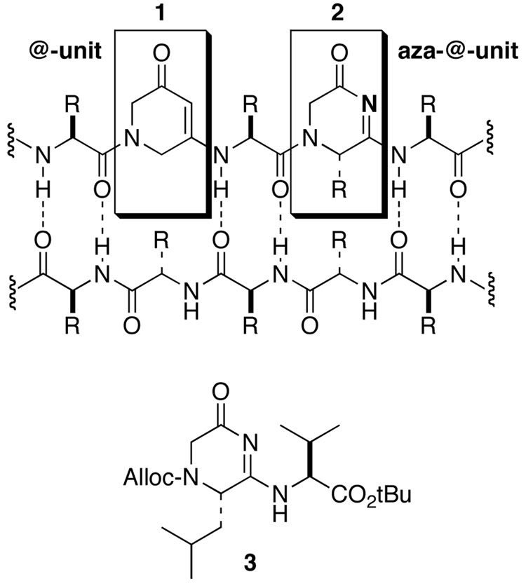 FIGURE 1