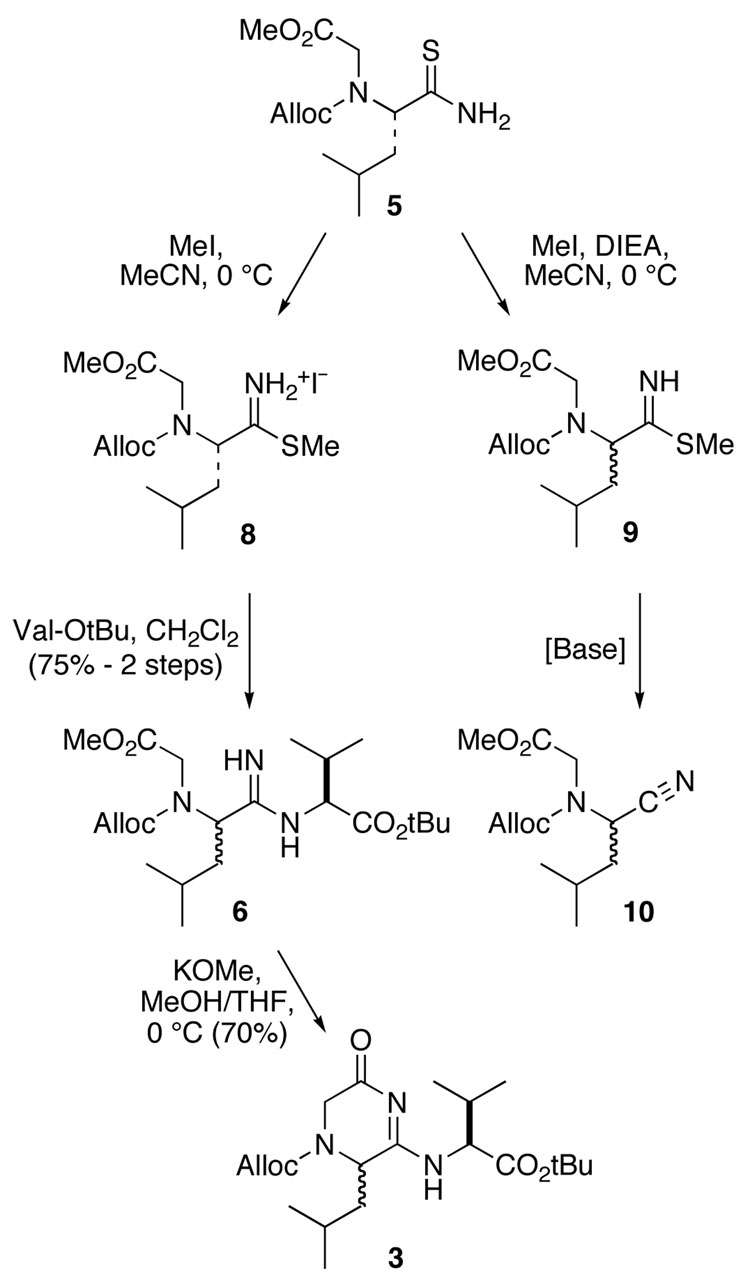 SCHEME 2