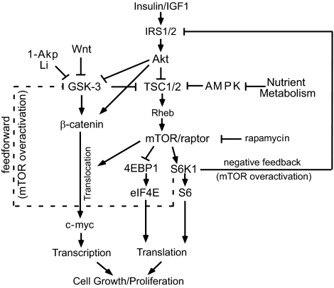 FIG. 8.